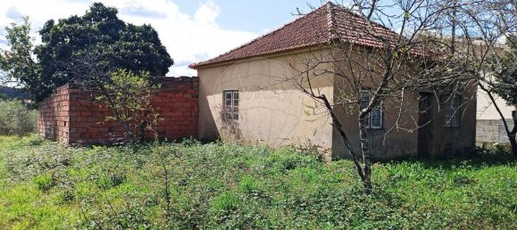 Casa de 2 dormitorios en Avelas de Cima, Portugal No. 47419 4