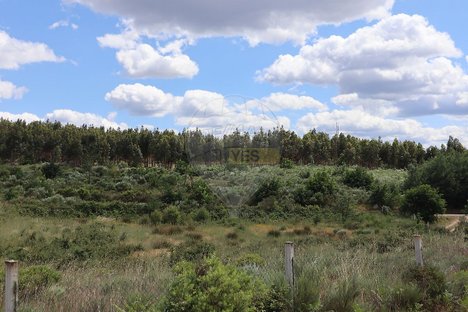 Terreno em Seixo da Beira, Portugal N.º 11483