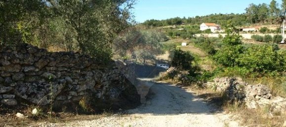 8850m² Land in Sernancelhe, Portugal No. 44679 17
