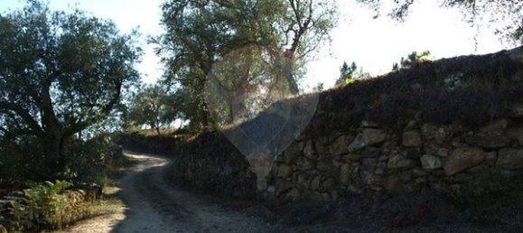 8850m² Land in Sernancelhe, Portugal No. 44679 11
