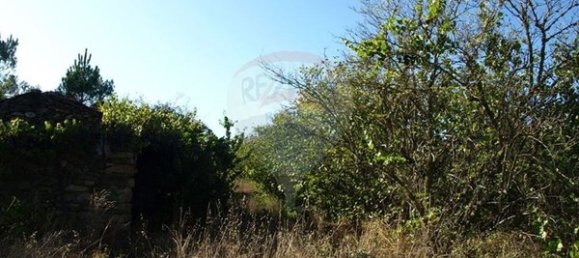 8850m² Land in Sernancelhe, Portugal No. 44679 8