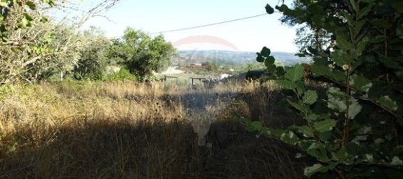 8850m² Land in Sernancelhe, Portugal No. 44679 9