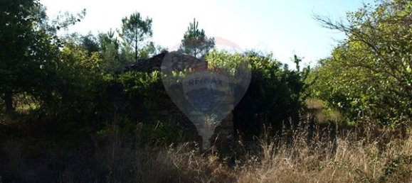 8850m² Land in Sernancelhe, Portugal No. 44679 4