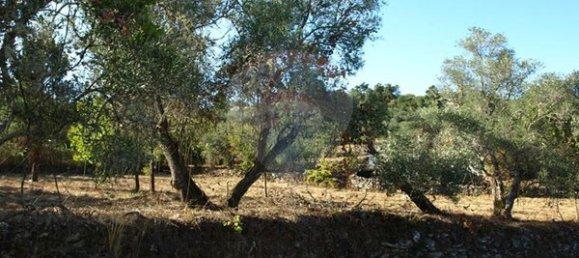 8850m² Land in Sernancelhe, Portugal No. 44679 7
