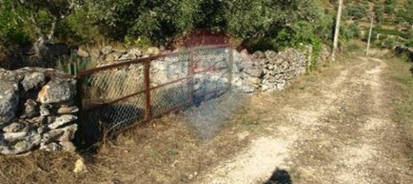 8850m² Land in Sernancelhe, Portugal No. 44679 6