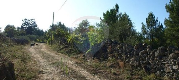 8850m² Land in Sernancelhe, Portugal No. 44679 3