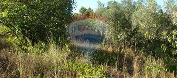 8850m² Land in Sernancelhe, Portugal No. 44679 14