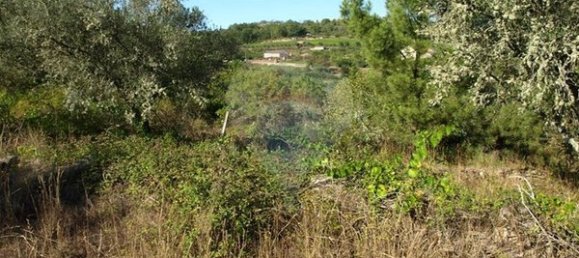 8850m² Land in Sernancelhe, Portugal No. 44679 15