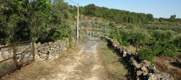 8850m² Land in Sernancelhe, Portugal No. 44679 5