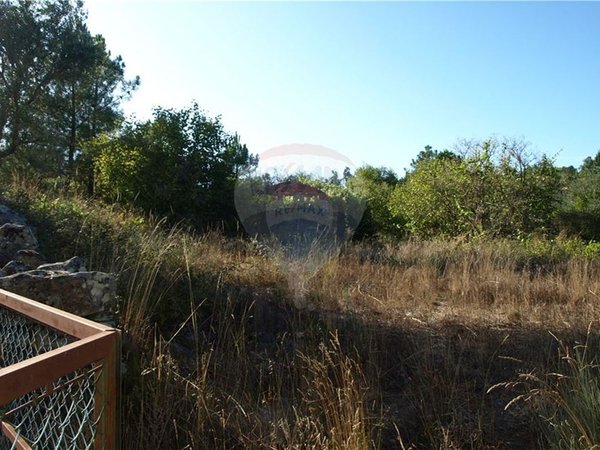 8850m² Land in Sernancelhe, Portugal No. 44679