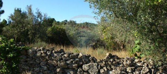 8850m² Land in Sernancelhe, Portugal No. 44679 18