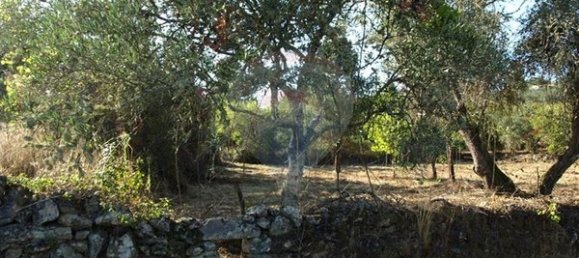8850m² Land in Sernancelhe, Portugal No. 44679 2