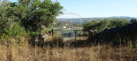 8850m² Land in Sernancelhe, Portugal No. 44679 10