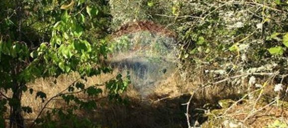 8850m² Land in Sernancelhe, Portugal No. 44679 12