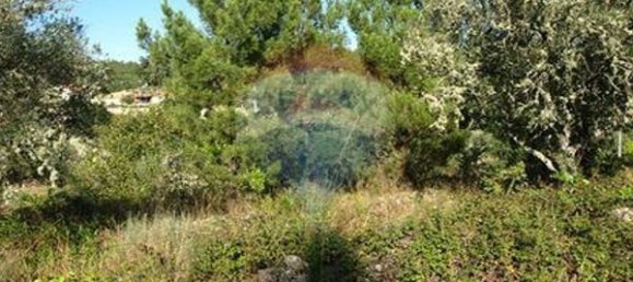 8850m² Land in Sernancelhe, Portugal No. 44679 13