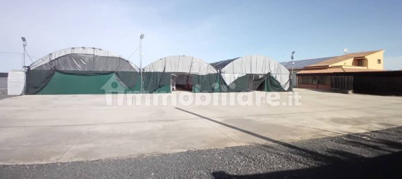 مستودع في Oristano, Italy 1089متر مربع رقم 306575 2