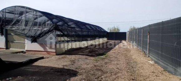 مستودع في Oristano, Italy 1089متر مربع رقم 306575 6