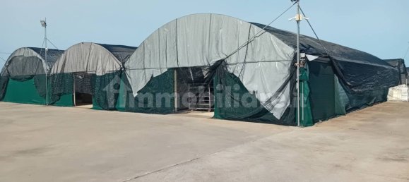 مستودع في Oristano, Italy 1089متر مربع رقم 306575 3