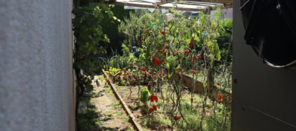 Casa T4 em Dannemarie, France N.º 234340 8