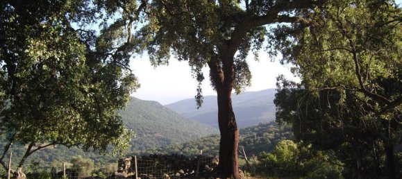 Terreno en Gaucín, Spain No. 83290 2