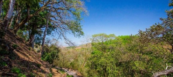 3 Schlafzimmer Haus in San Jose, Costa Rica, Nr. 705 5