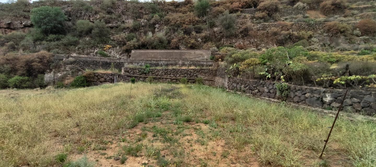  Land in Arafo, Spain No. 165937