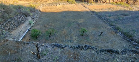  Land in Arafo, Spain No. 165937 2