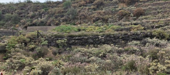  Land in Arafo, Spain No. 165937 5