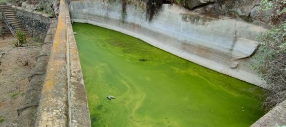  Land in Arafo, Spain No. 165937 9