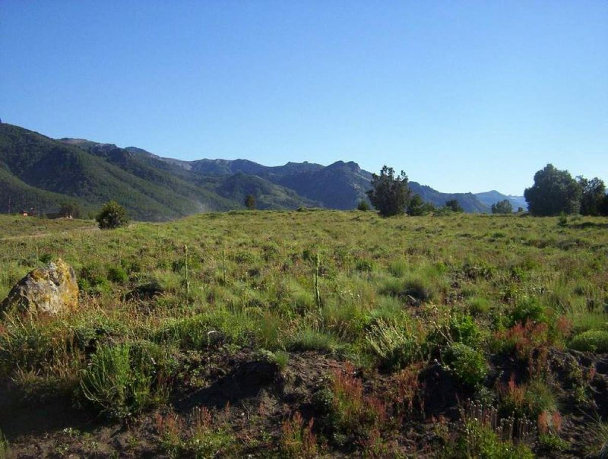  Land in Neuquen, Argentina No. 34787