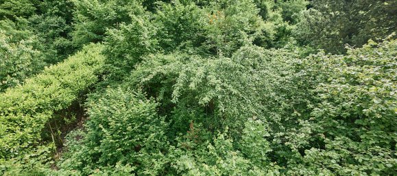Casa de 6 divisões em Rottweil, Germany N.º 18935 36