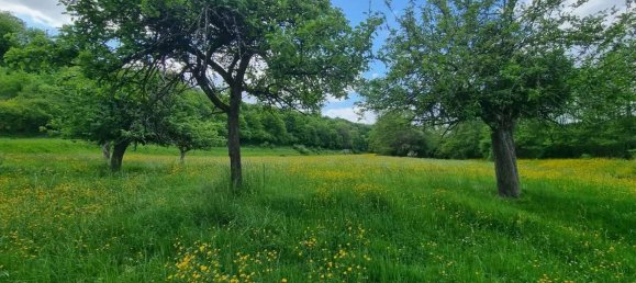 3 bedrooms House in Orly-sur-Morin, France No. 328383 7