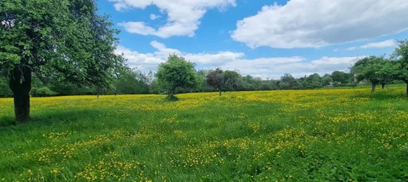 3 bedrooms House in Orly-sur-Morin, France No. 328383 9