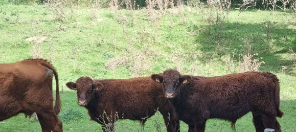 3 bedrooms House in Orly-sur-Morin, France No. 328383 13