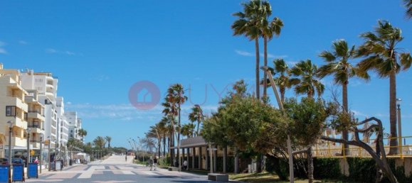 4 bedrooms House in Quarteira, Portugal No. 160481 13