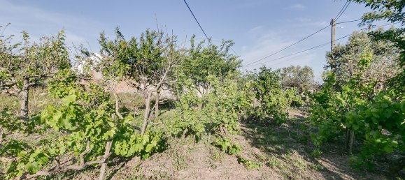 2 bedrooms House in Torres Vedras, Portugal No. 48119 4