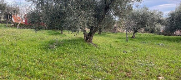 Casa T3 em São Pedro de Sarracenos, Portugal N.º 173076 2