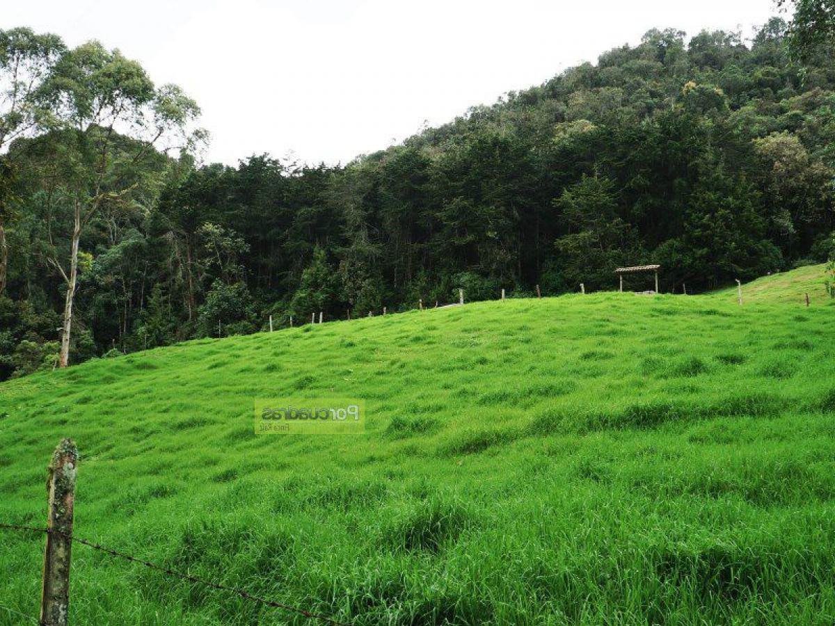 Grundstück in Antioquia, Colombia, Nr. 571