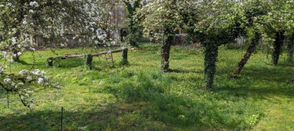 Grundstück in Freiburg im Breisgau, Germany, Nr. 342307 3