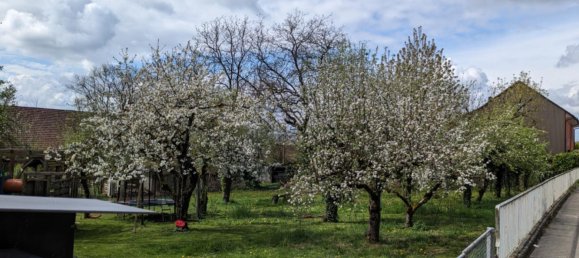Grundstück in Freiburg im Breisgau, Germany, Nr. 342307 2