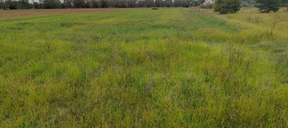 Terreno en Neviano, Italy 9889 m² No. 122534 7