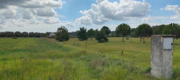 Terreno en Neviano, Italy 9889 m² No. 122534 9