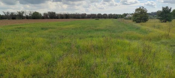 Terreno en Neviano, Italy 9889 m² No. 122534 12