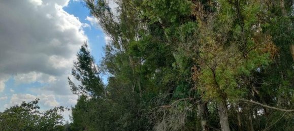 Terreno en Neviano, Italy 9889 m² No. 122534 3