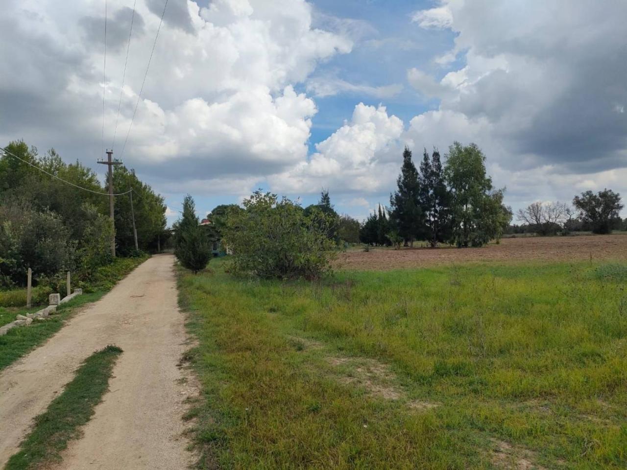 Terreno en Neviano, Italy 9889 m² No. 122534