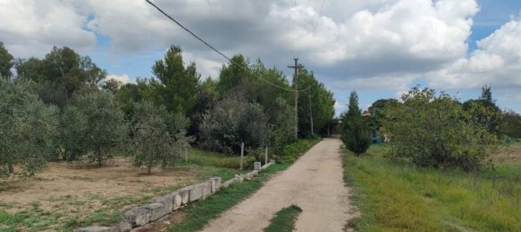 Terreno en Neviano, Italy 9889 m² No. 122534 10