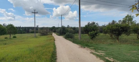 Terreno en Neviano, Italy 9889 m² No. 122534 5