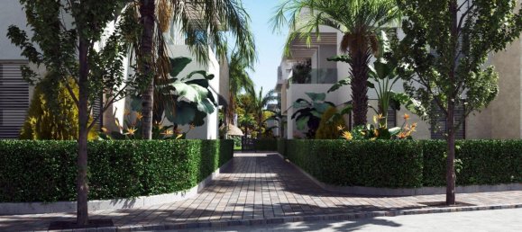 3 bedrooms Penthouse in Santa Rosalia, Spain No. 11570 3