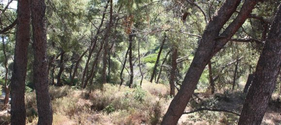 400m² Villa in Chalkidiki, Greece No. 8110 8