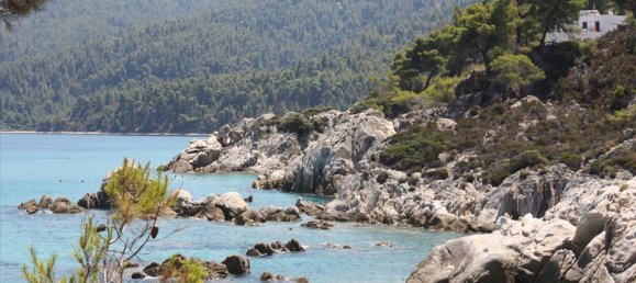 400m² Villa in Chalkidiki, Greece No. 8110 10